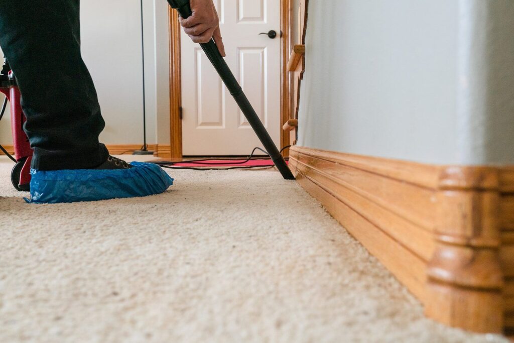 Carpet Cleaning Loveland