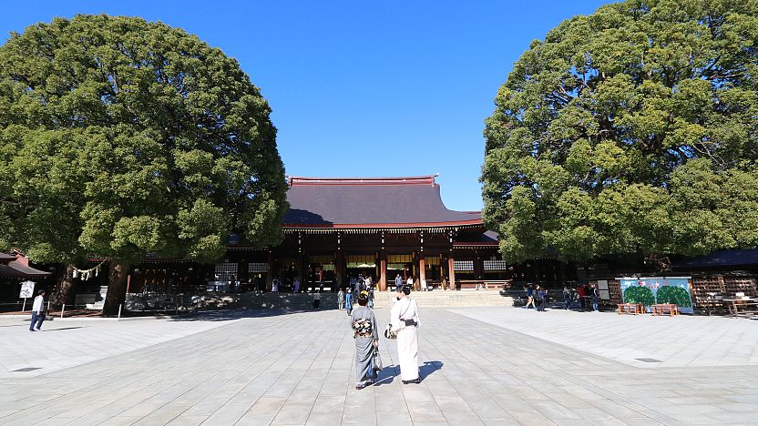 Meiji Shrine and Yoyogi Park