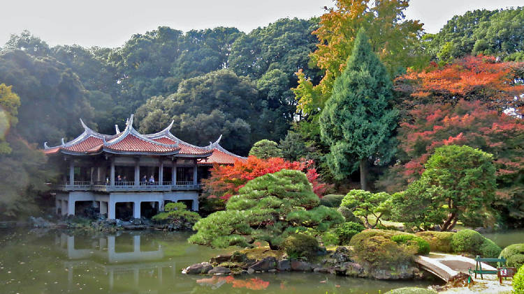 Shinjuku Gyoen National Garden